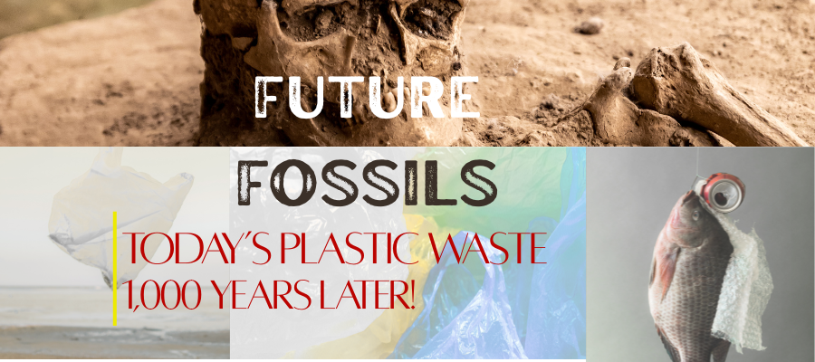 Future Fossils: What Today’s Plastic Waste Will Tell Archaeologists 1,000 Years Later